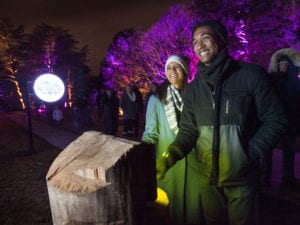 Illumination: Tree Lights at The Morton Arboretum