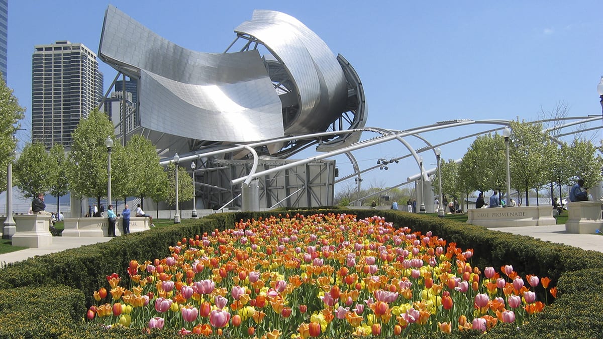 Millennium Park with flowers and Jay Pritzker Pavilion
