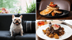 Collage of pup + brunch food at CBR for National Dog Day