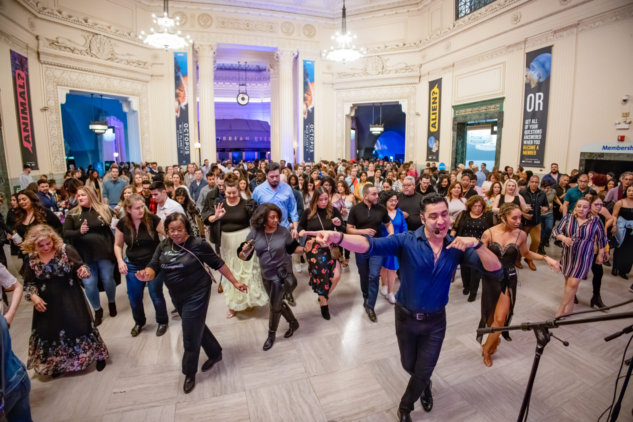 Ritmo del Mar in Shedd Aquarium