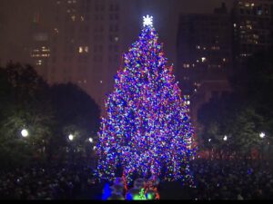 beautiful light up christmas tree in chicago by night