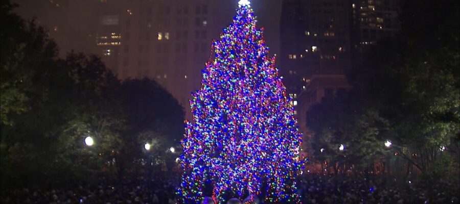 beautiful light up christmas tree in chicago by night