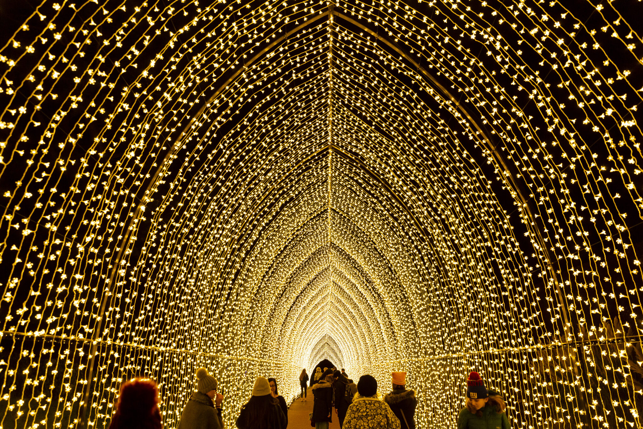 tunnel full of holiday lights and people