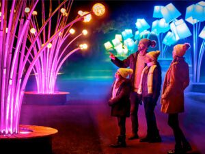 A family is watching the Magical Lights at the Chicago Botanic Garden