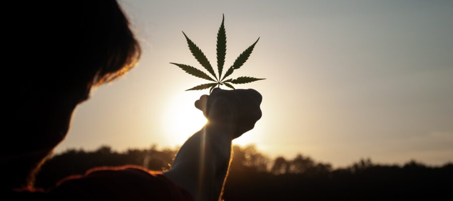 Hand holding a marihuana leaf in front of sunset