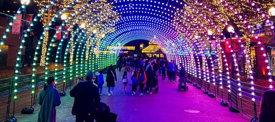 Fall Activities in Chicago