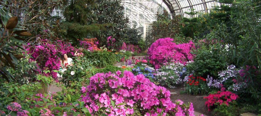 Spring Flowers in Chicago